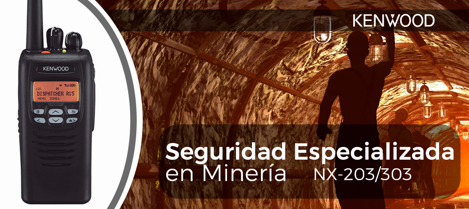 kenwwod seguridad especializada